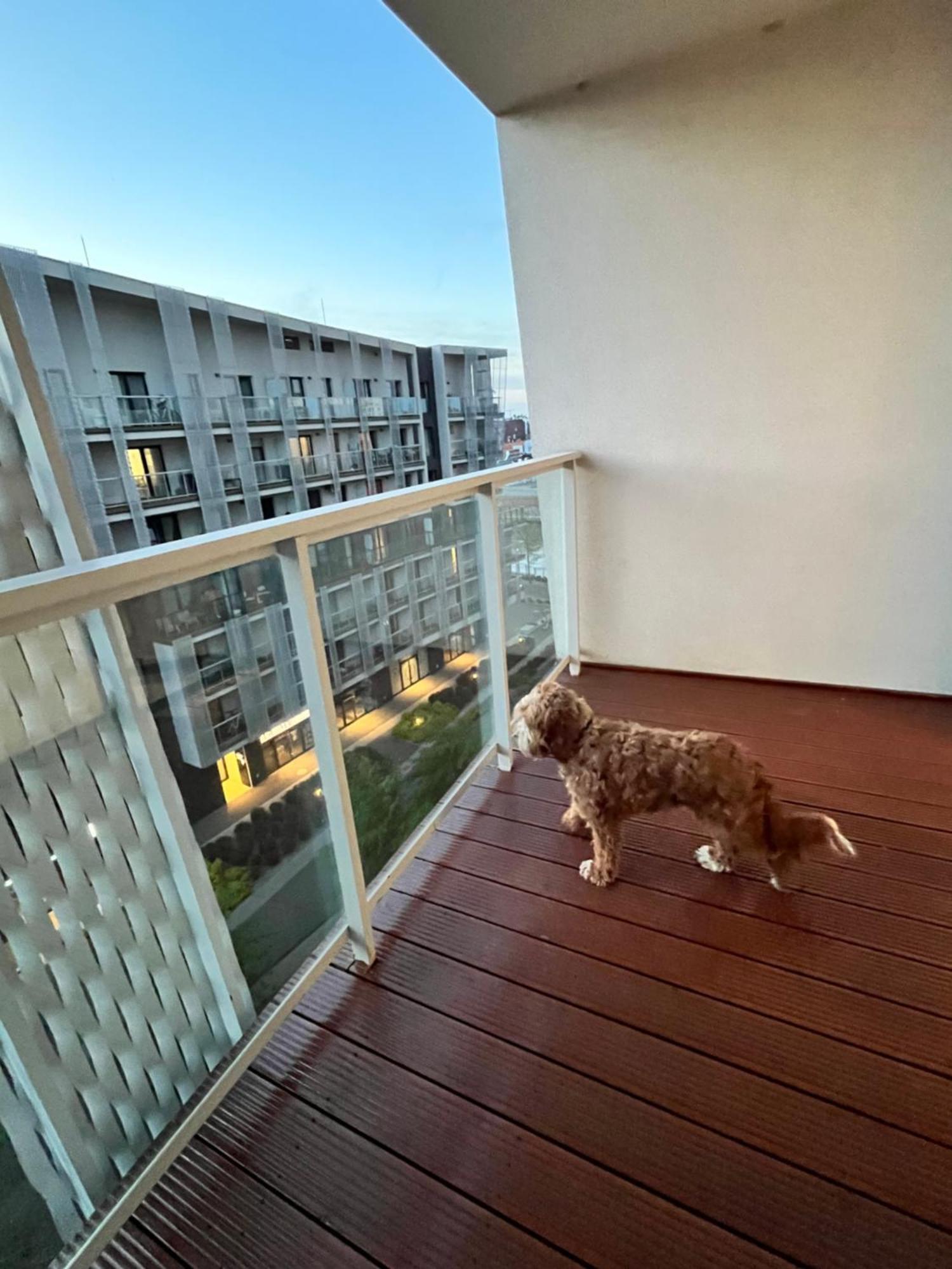 Family House By The River Odra -Panoramic Terrace - 3Room Apartment With 2 Separate Bedrooms And 2 Balconies By Wroapart-Pl- Perfect For Family & Business Stays Wroclaw Dış mekan fotoğraf